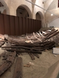 IMG-20191005-WA0018
