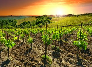 Programma di Ottobre 2023