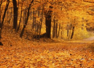 Programma di Ottobre 2019