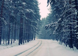 Programma di Gennaio 2023