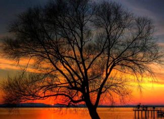 Programma di Agosto-Settembre 2019