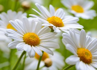 Programma di Aprile 2023